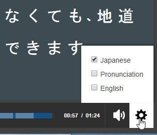FluentU Japanese Caption Options